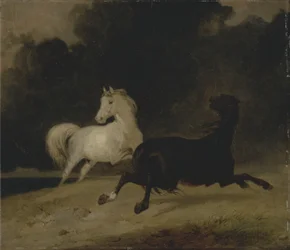 Horses in a Thunderstorm